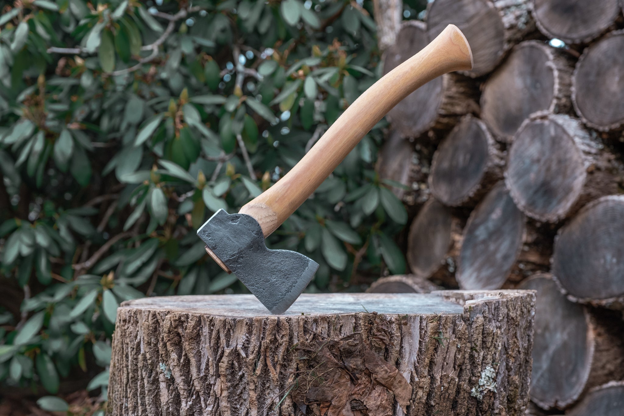 Mis-Stamp Mountains To Sea Axe