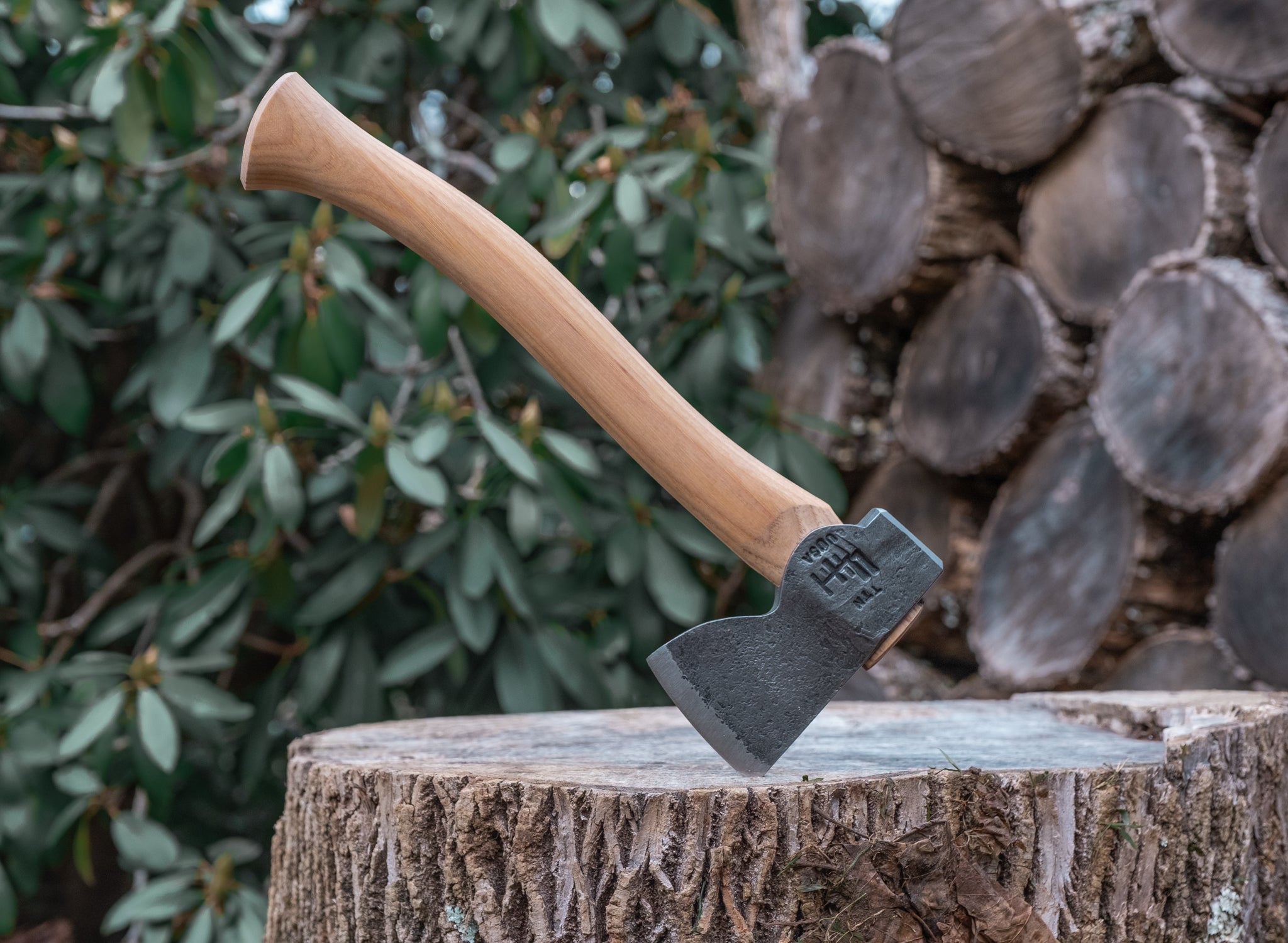 Mis-Stamp Mountains To Sea Axe