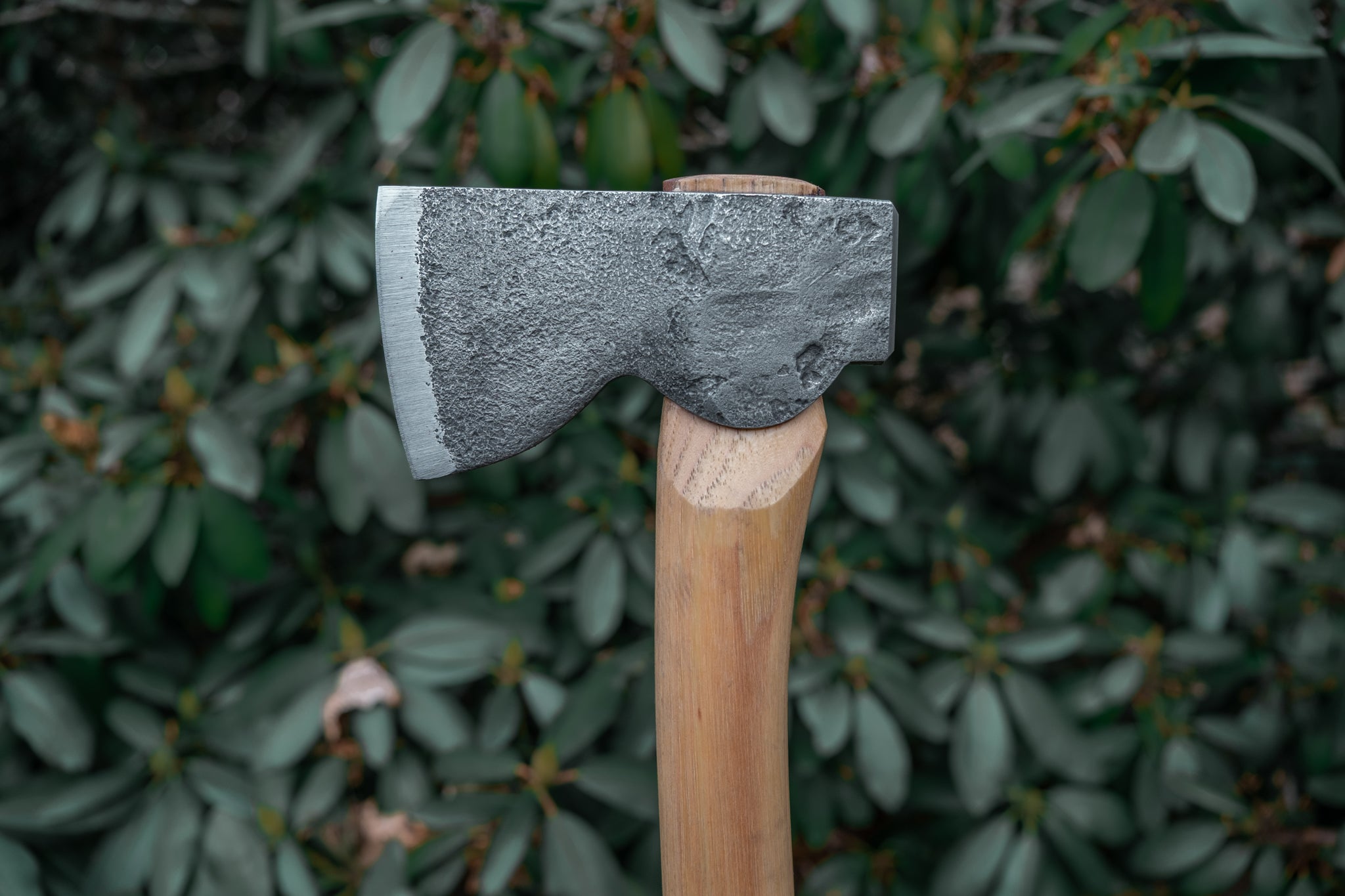 Mis-Stamp Mountains To Sea Axe