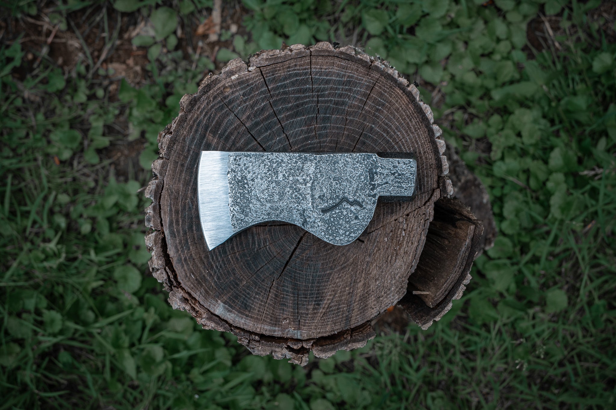trappers hatchet head only