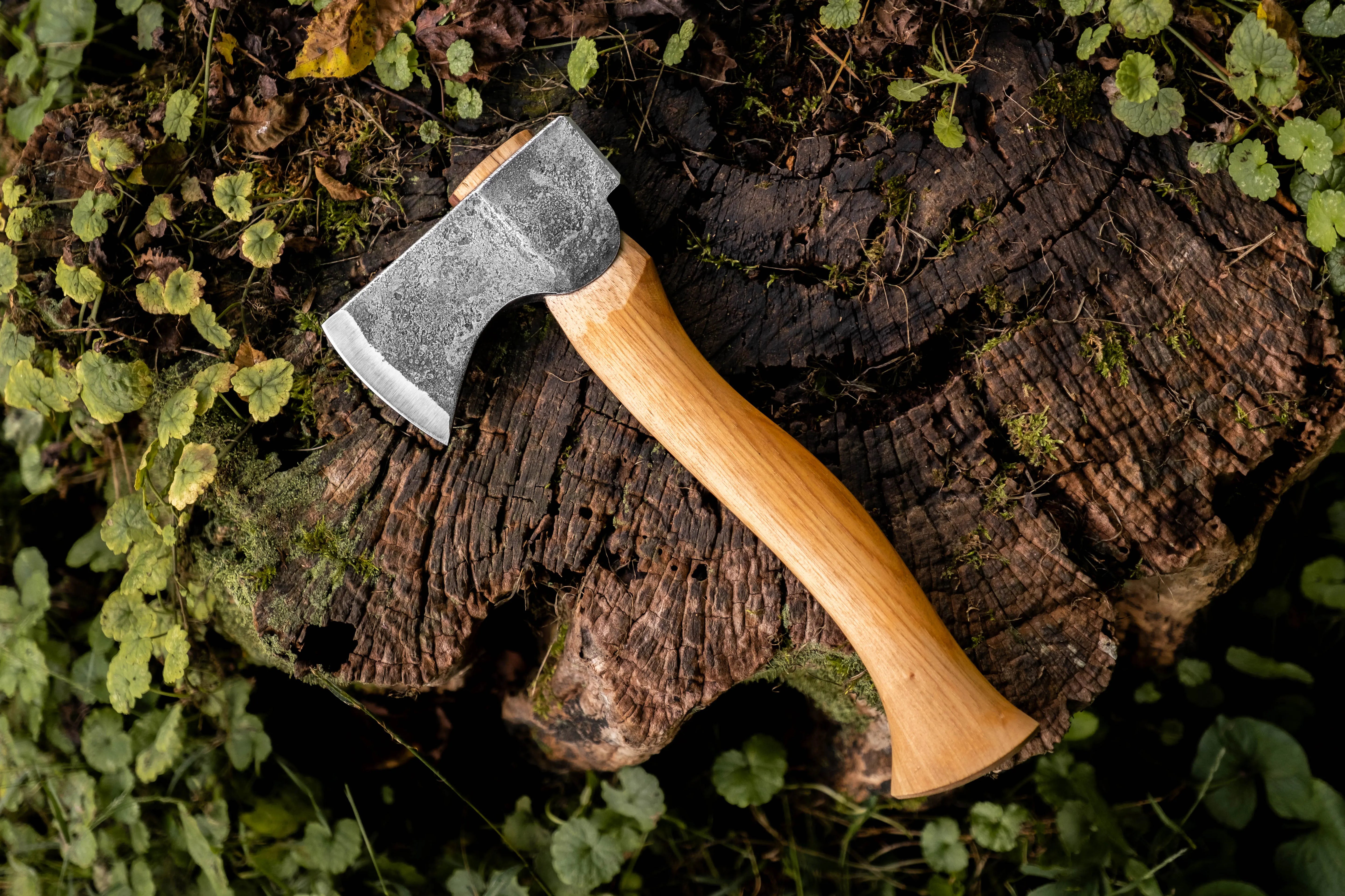 mini camper backside