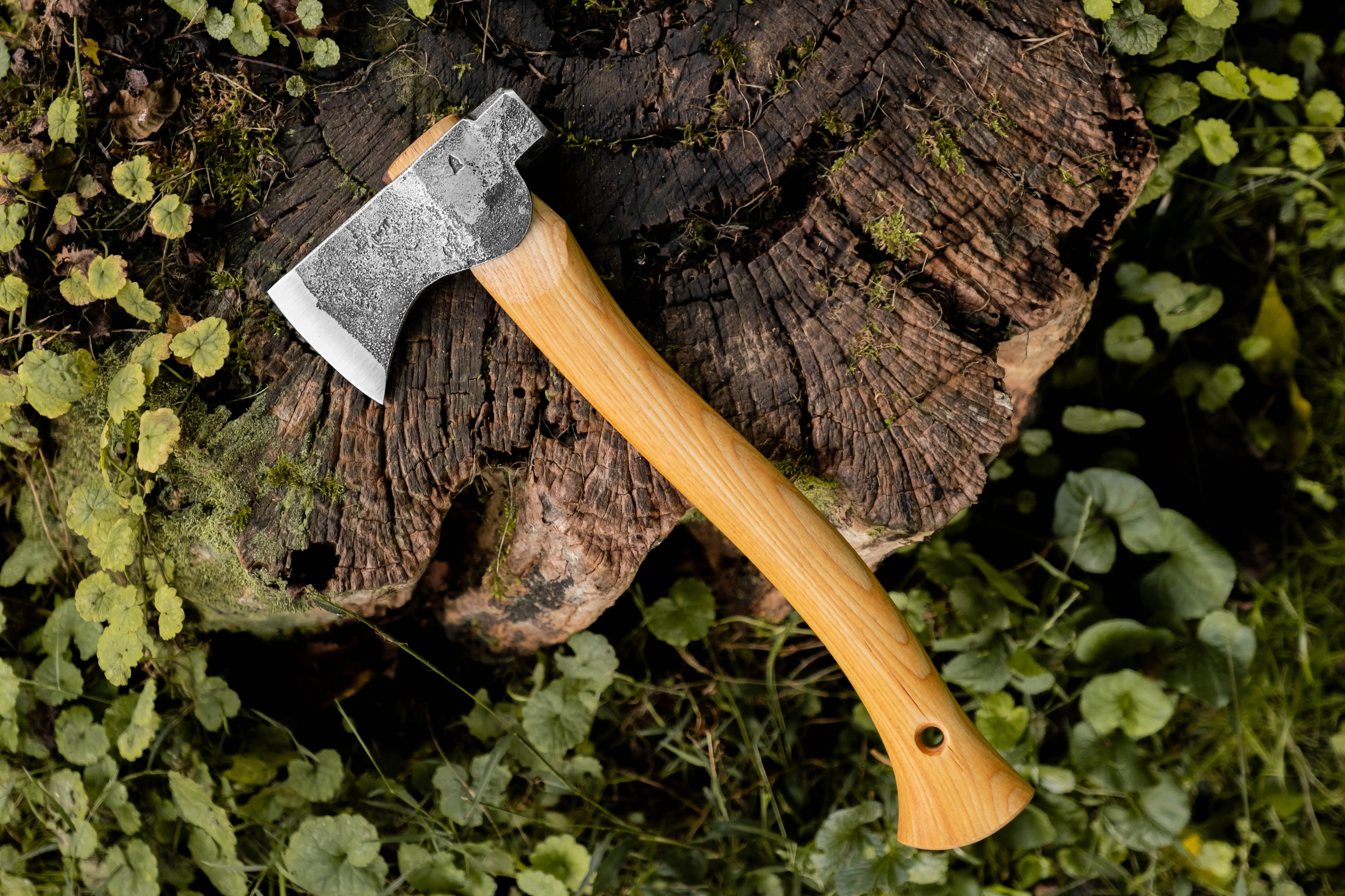 small hatchet with hammer poll