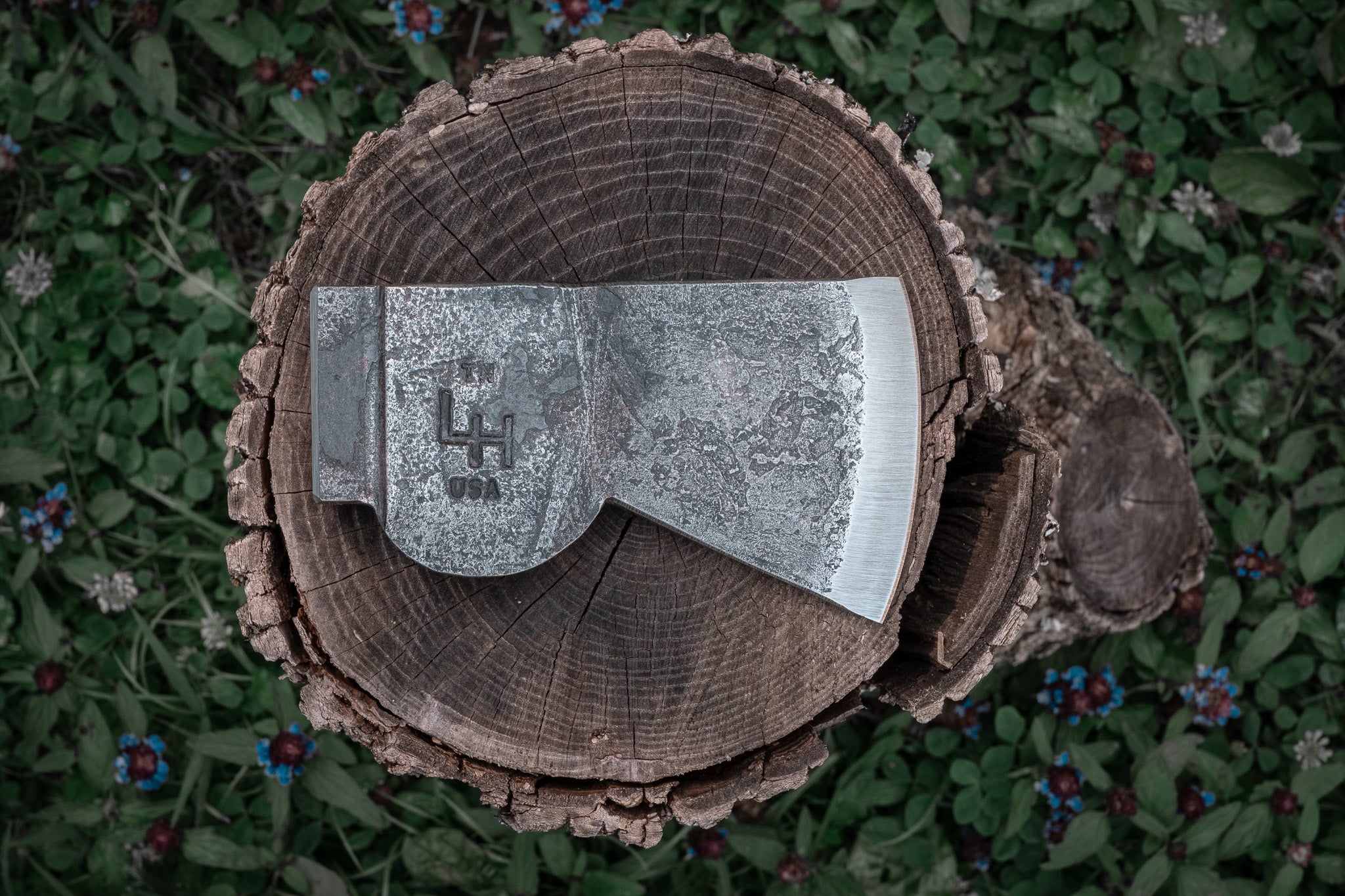 camp axe on stump