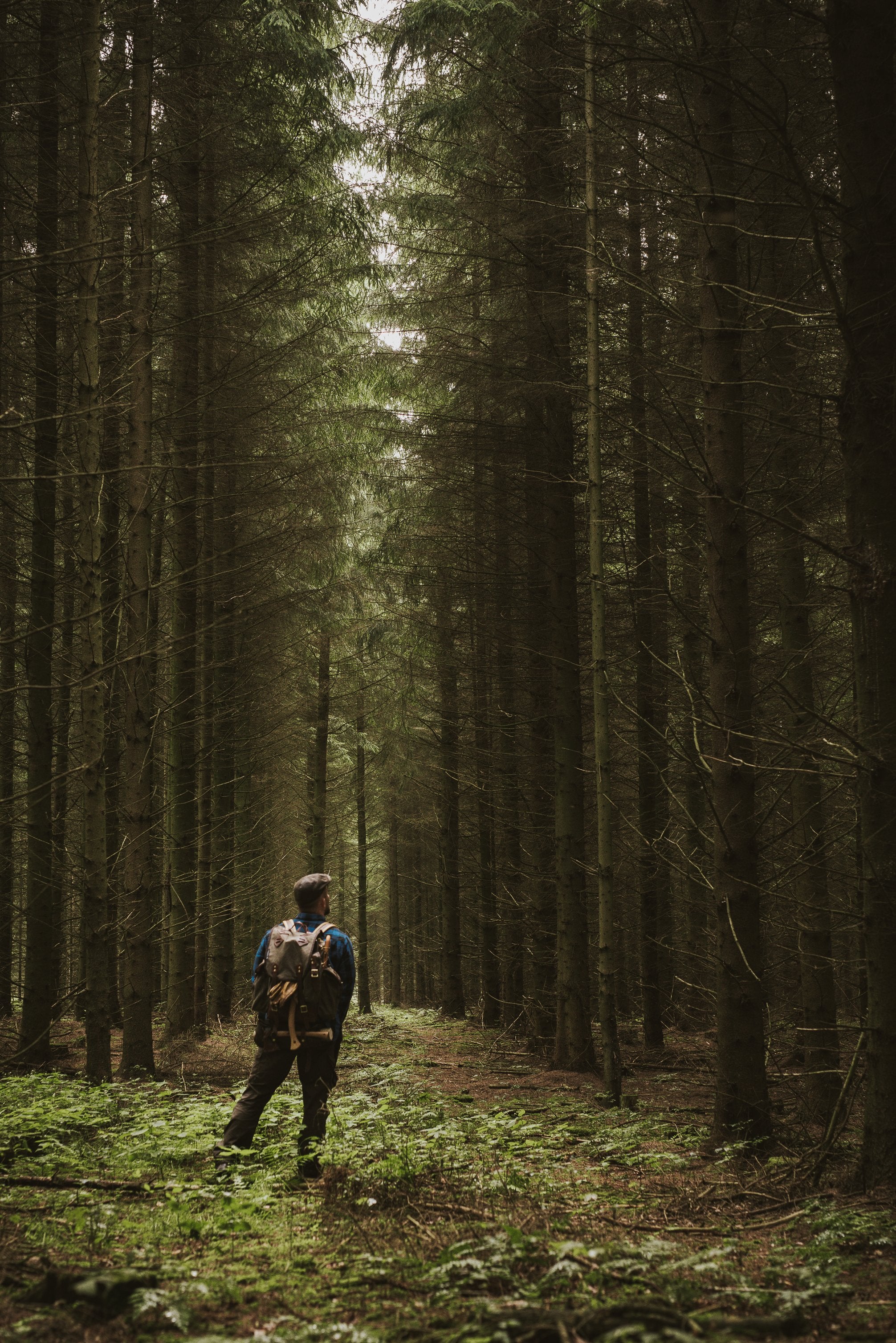 wandering the woods with an axe